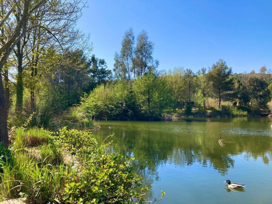 Les Restanques Maison 14 Chenes Grimaud Dış mekan fotoğraf